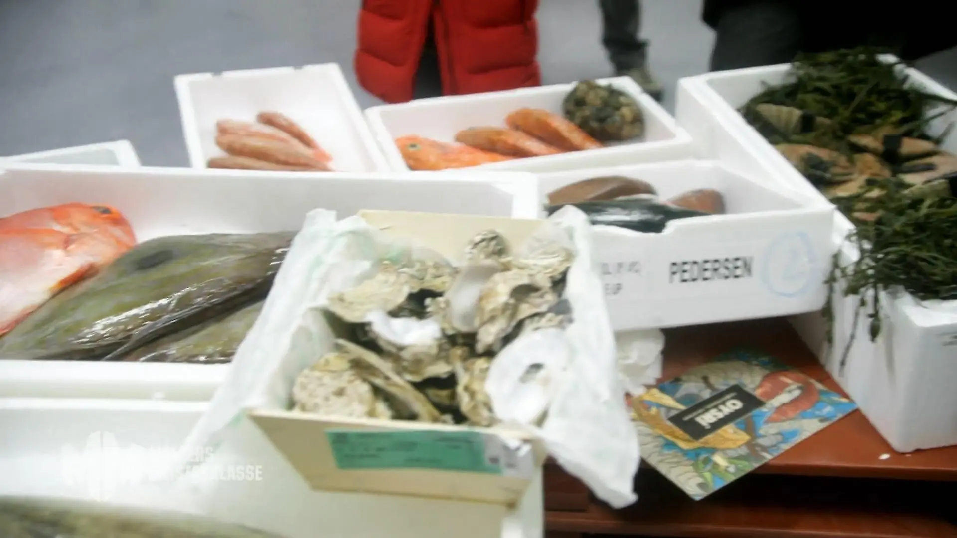 Es geht um Fisch! Große Augen in der Meisterklasse