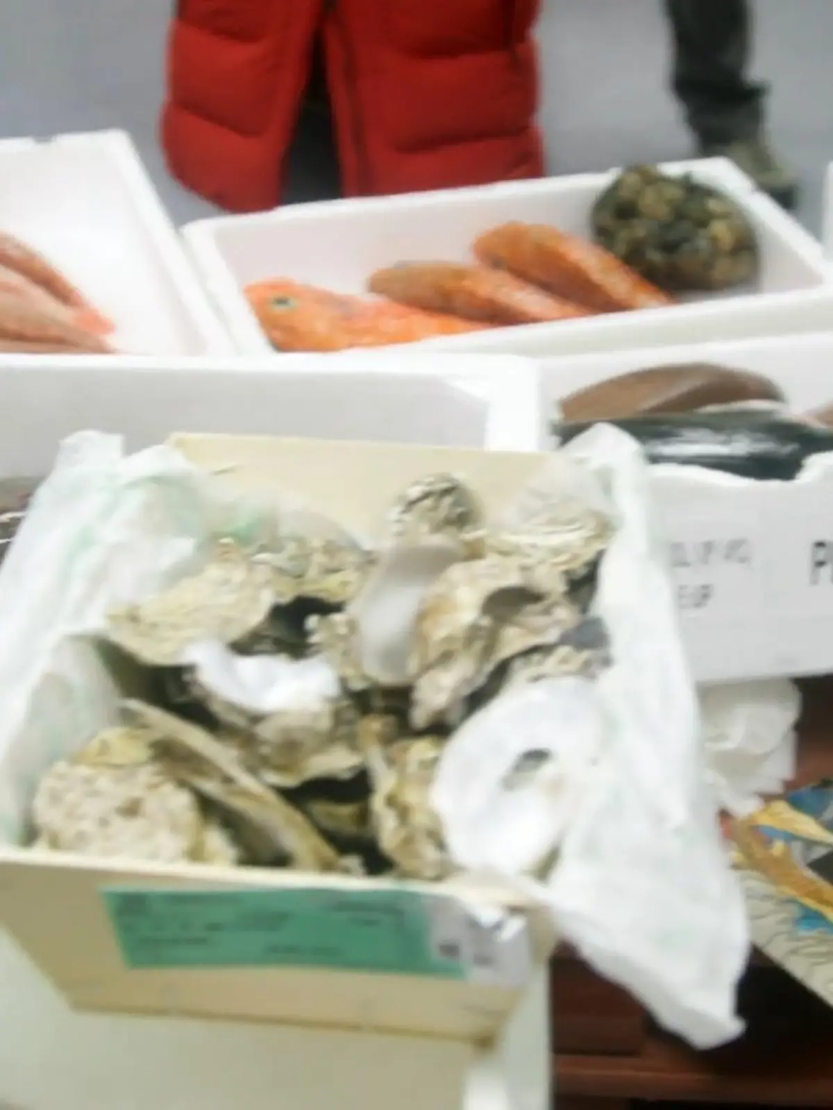 Bild zu: "Es geht um Fisch!"