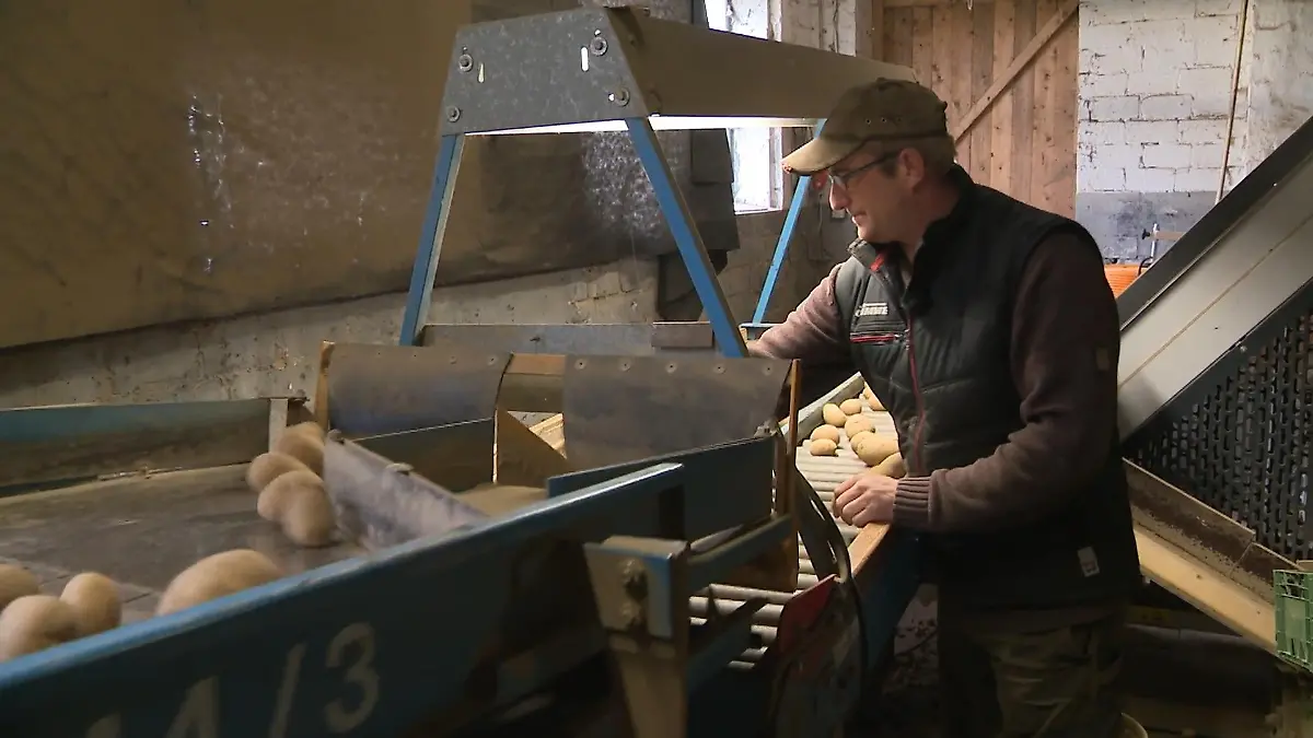 Bauer Christian musste 400 Tonnen Kartoffeln wegwerfen Was für ein Ernte-Irrsinn!