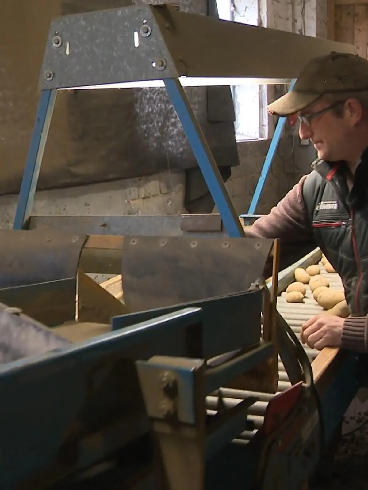 Bild zu: "Bauer Christian musste 400 Tonnen Kartoffeln wegwerfen"