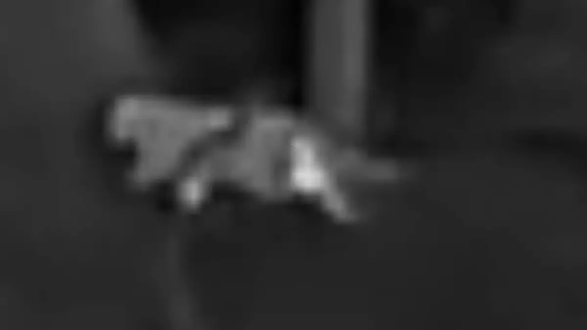 Ein Jäger hat in einem Waldgebiet bei Kalenborn (Verbandsgemeinde Altenahr) womöglich eine Großkatze gesichtet.