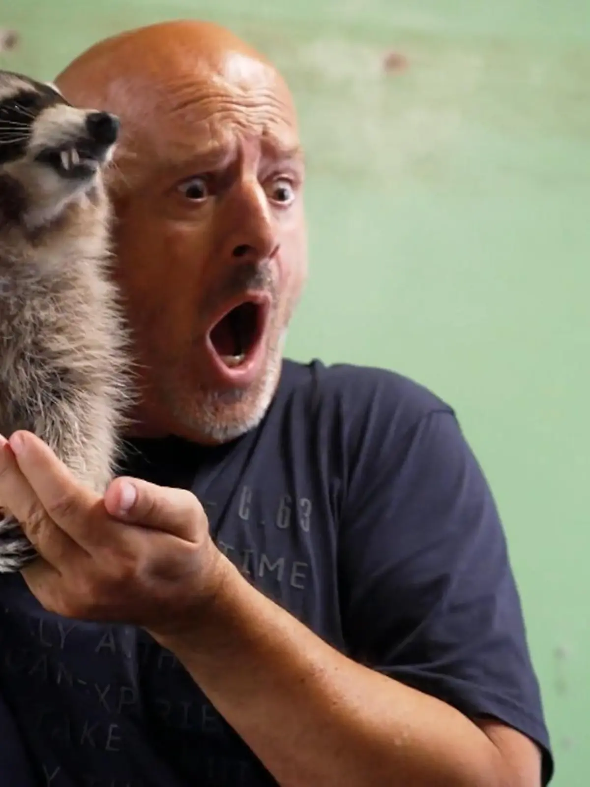 Bild zu: "Für Detlev wird es ernst!"