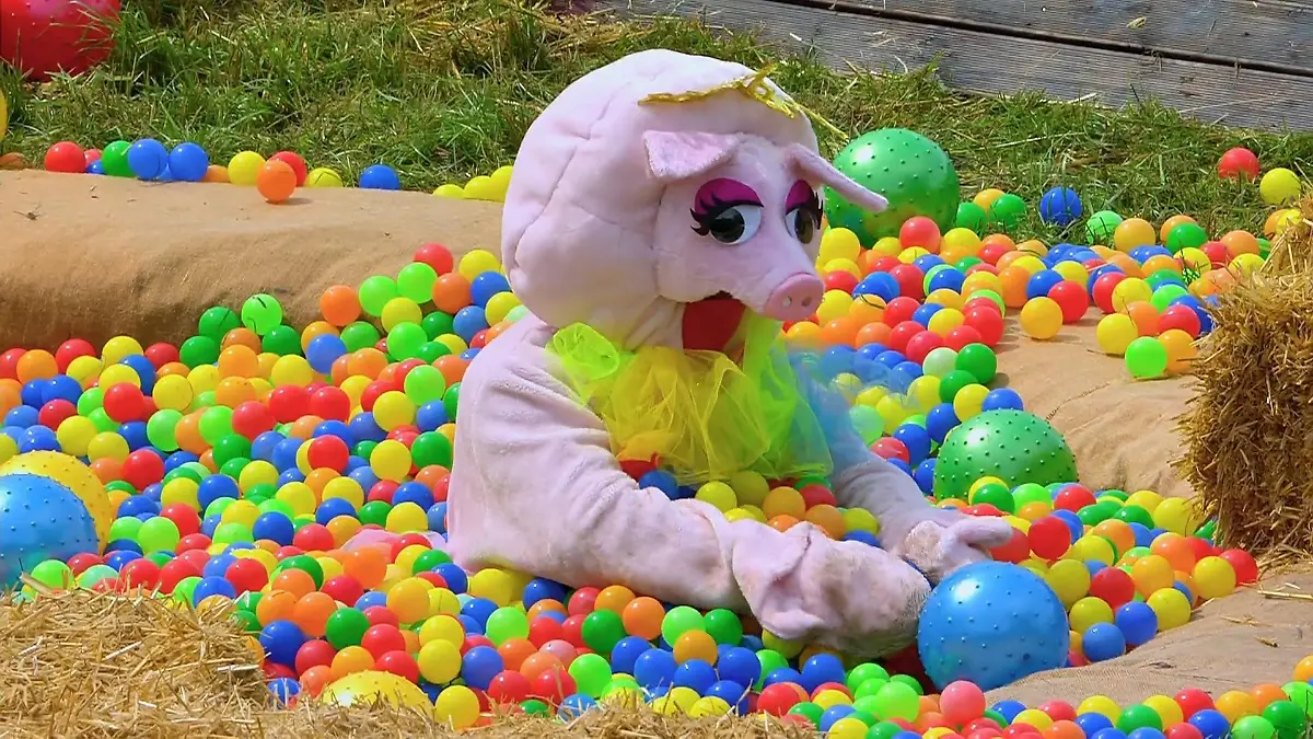 Wer meistert das Tierisch-blind-Spiel? Kommunikation ist alles