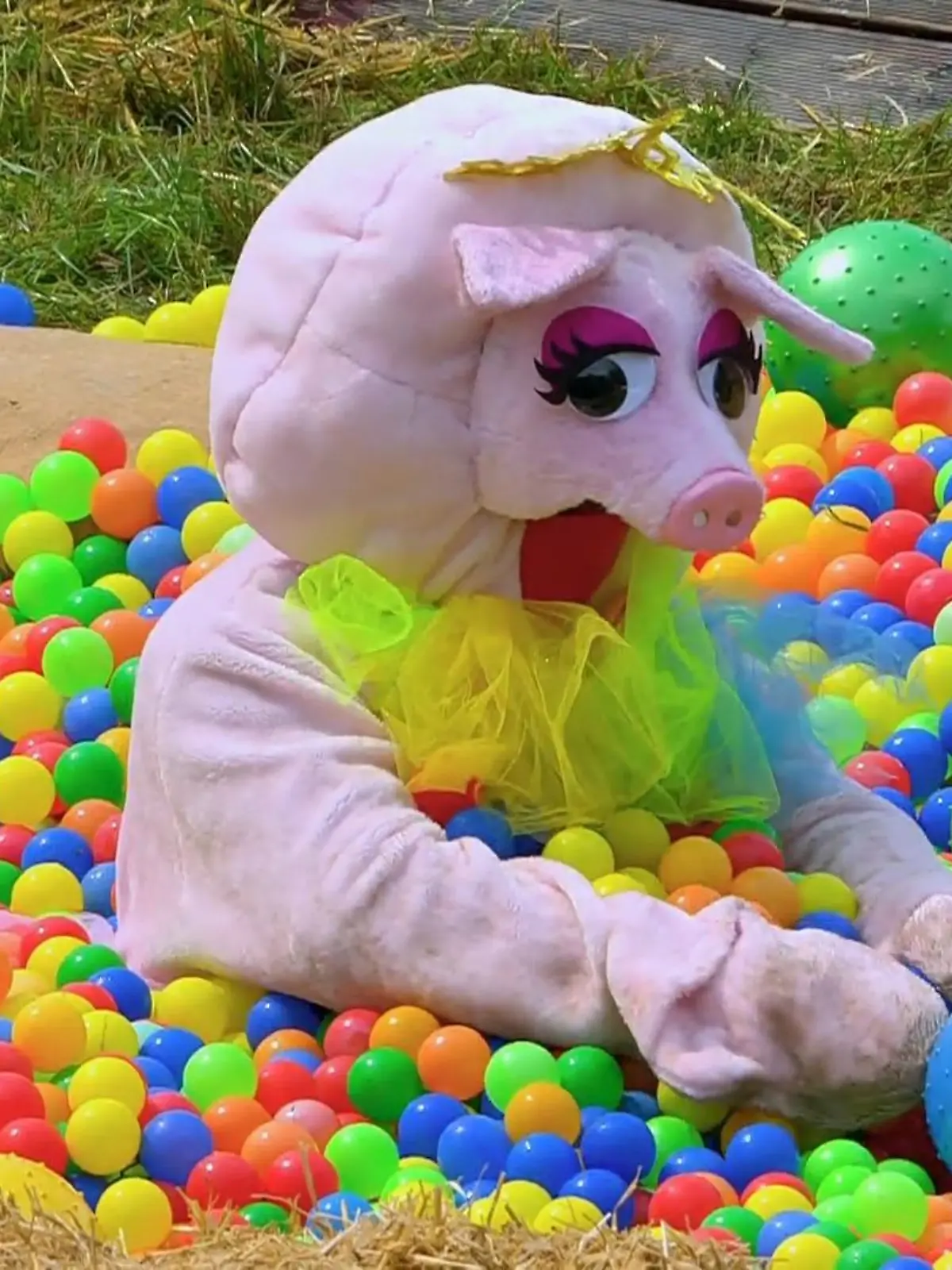 Bild zu: "Wer meistert das Tierisch-blind-Spiel?"