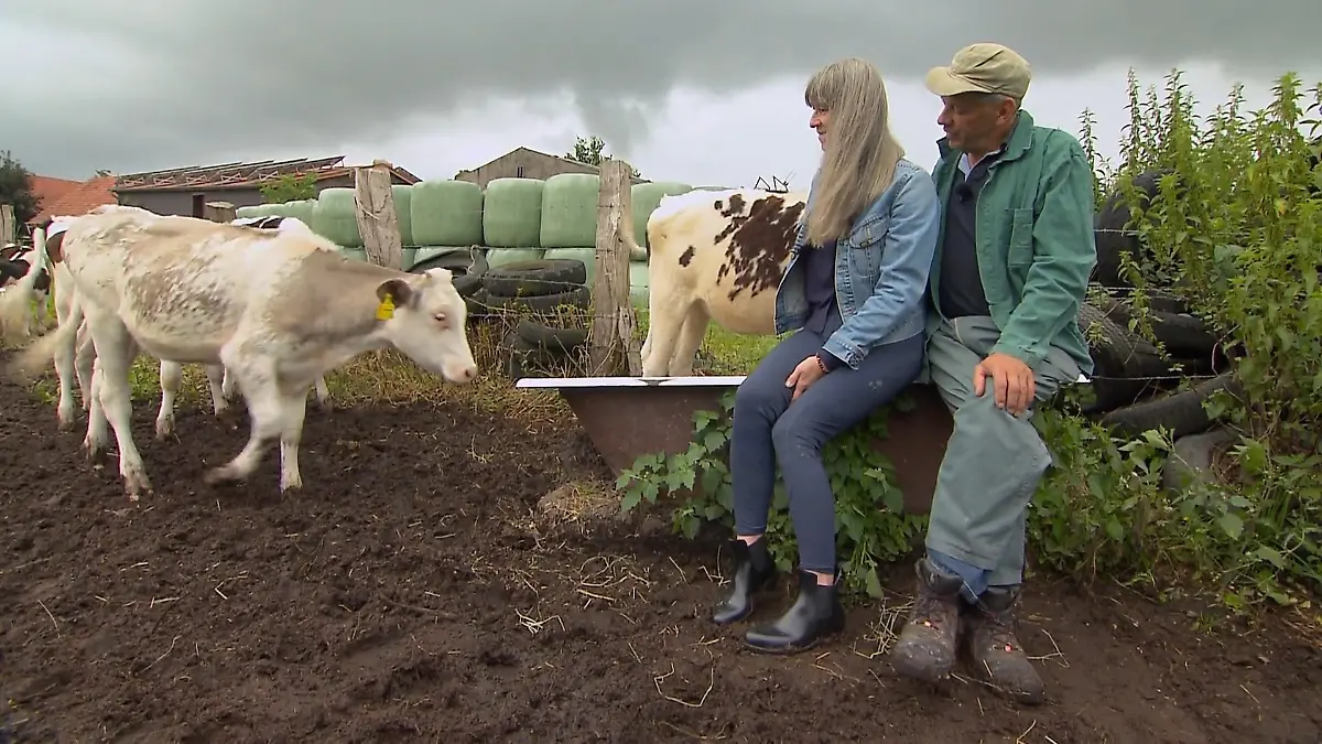 Johann zeigt Katja seine Kälber Kuschelzeit