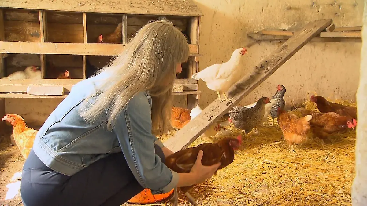Katja geht auf Streichelkurs bei den Hühnern Tierische Momente