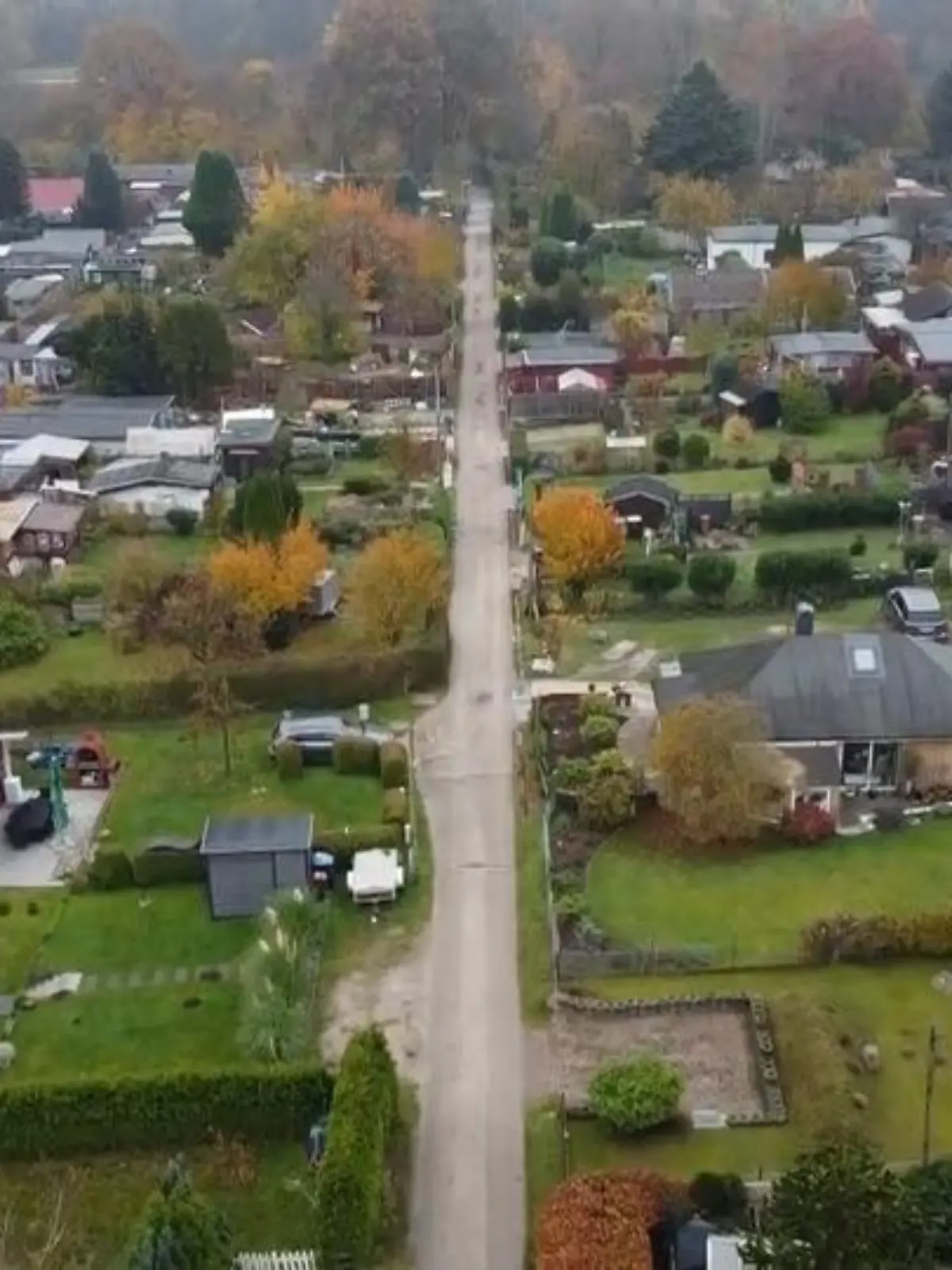 Bild zu: "Kleingarten-Siedlung in Hamburg droht der Abriss"