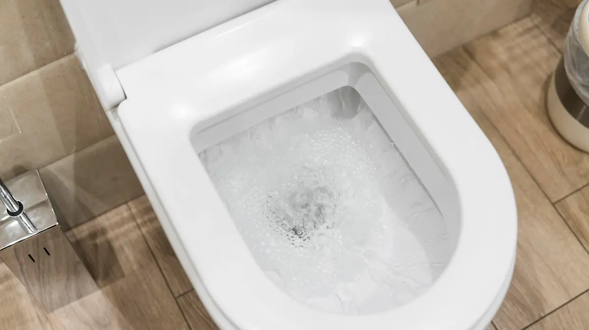 Toilette spült
