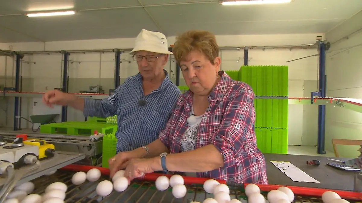 Katharina packt mit an Im Hühnerstall