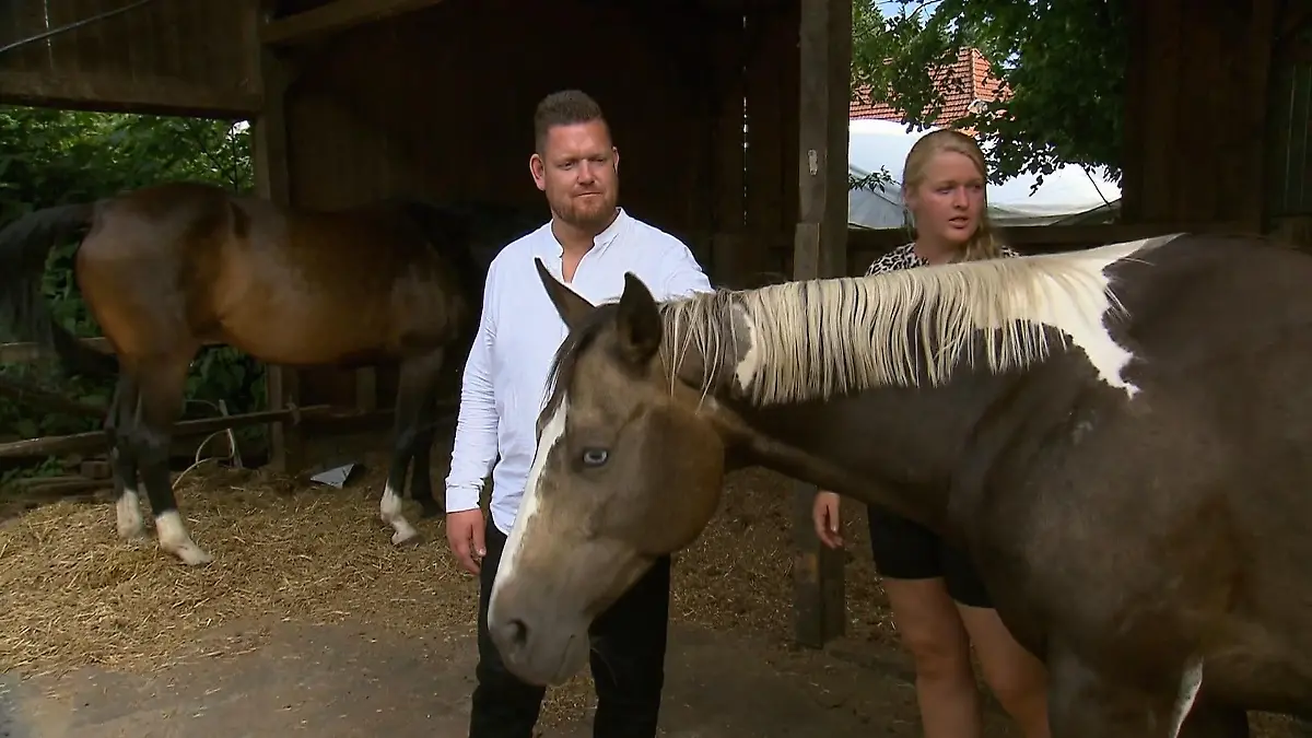 Insa zeigt Christoph ihr Pferde-Paradies Mag er Pferde?