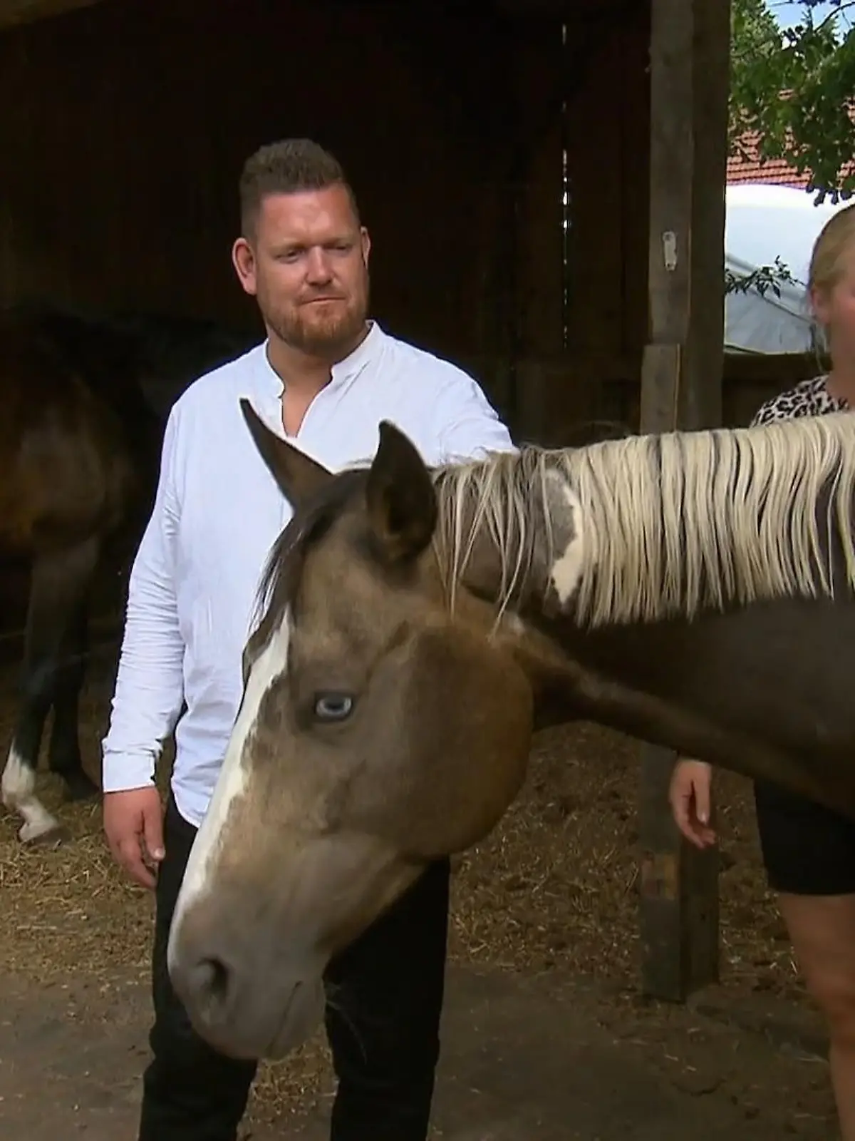 Bild zu: "Insa zeigt Christoph ihr Pferde-Paradies"