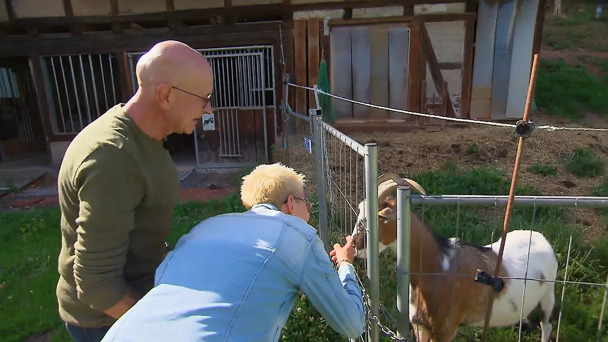 Carola hat keine Scheu vor Herberts Streichelzoo Tierische Nähe