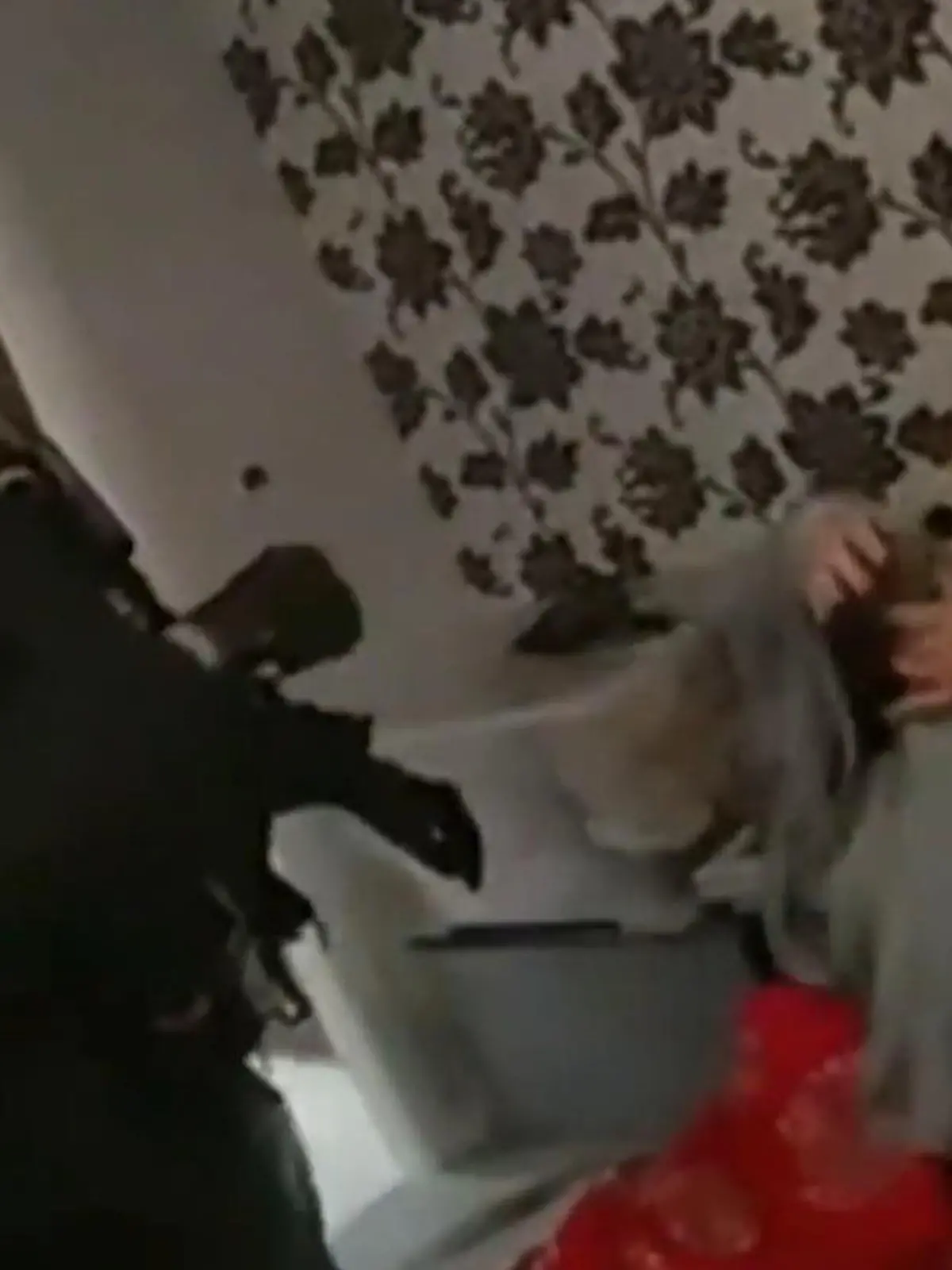 Bild zu: "128.000 Opfer! Milliarden-Betrügerin im eigenen Bett verhaftet"