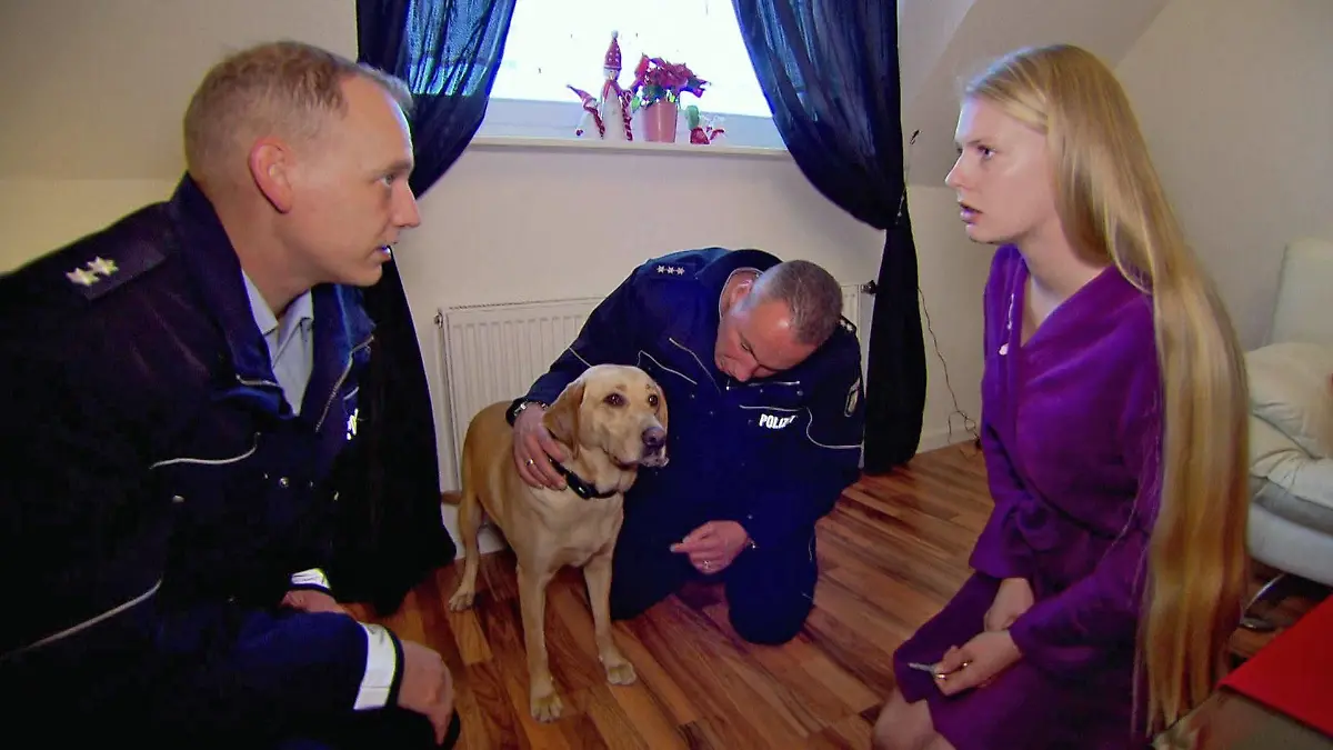 Hundesitterin wird mit Kamera beobachtet