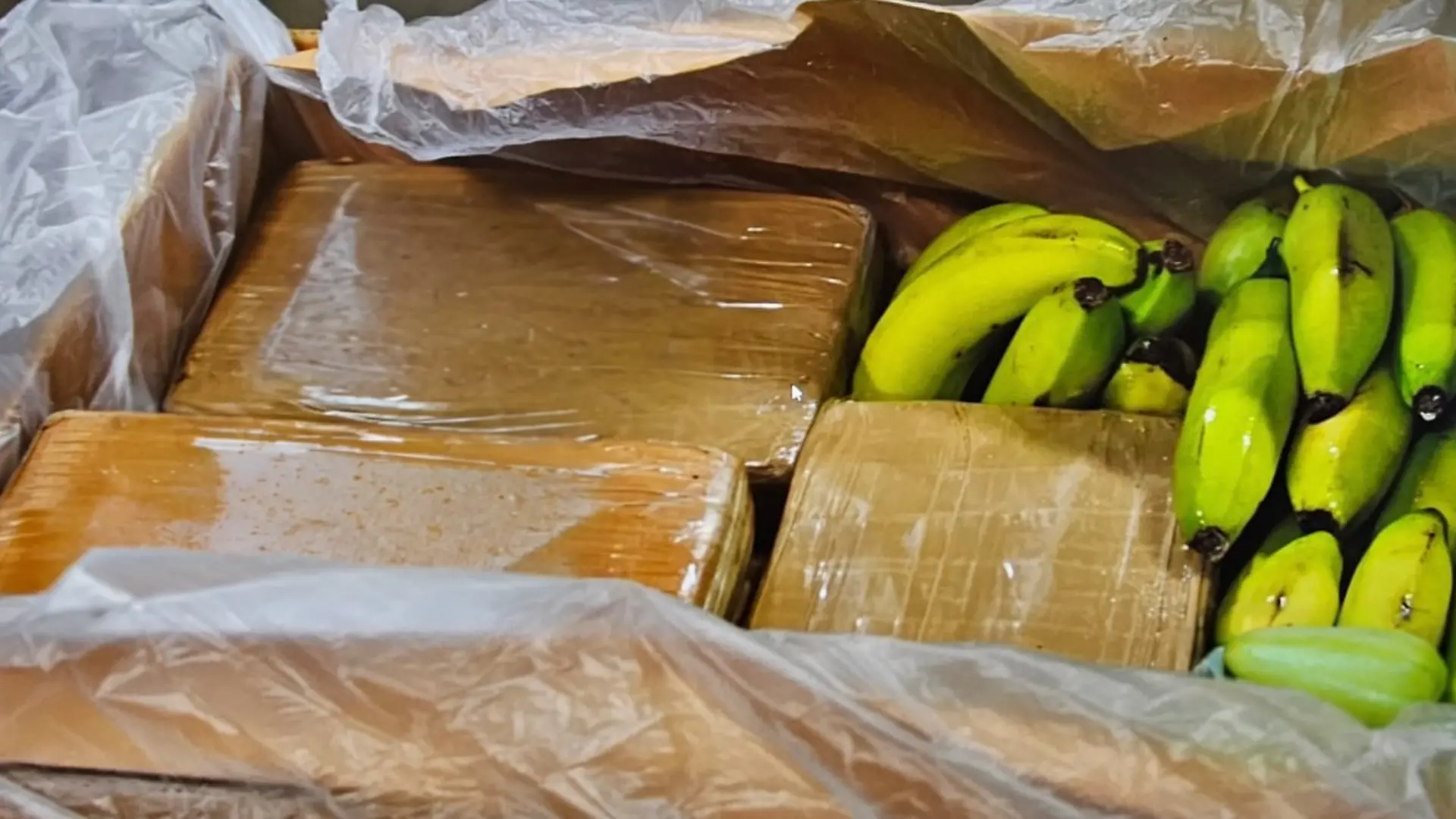 In mehreren Filialen eines Discounters sind Drogen in Bananenkisten gefunden worden.