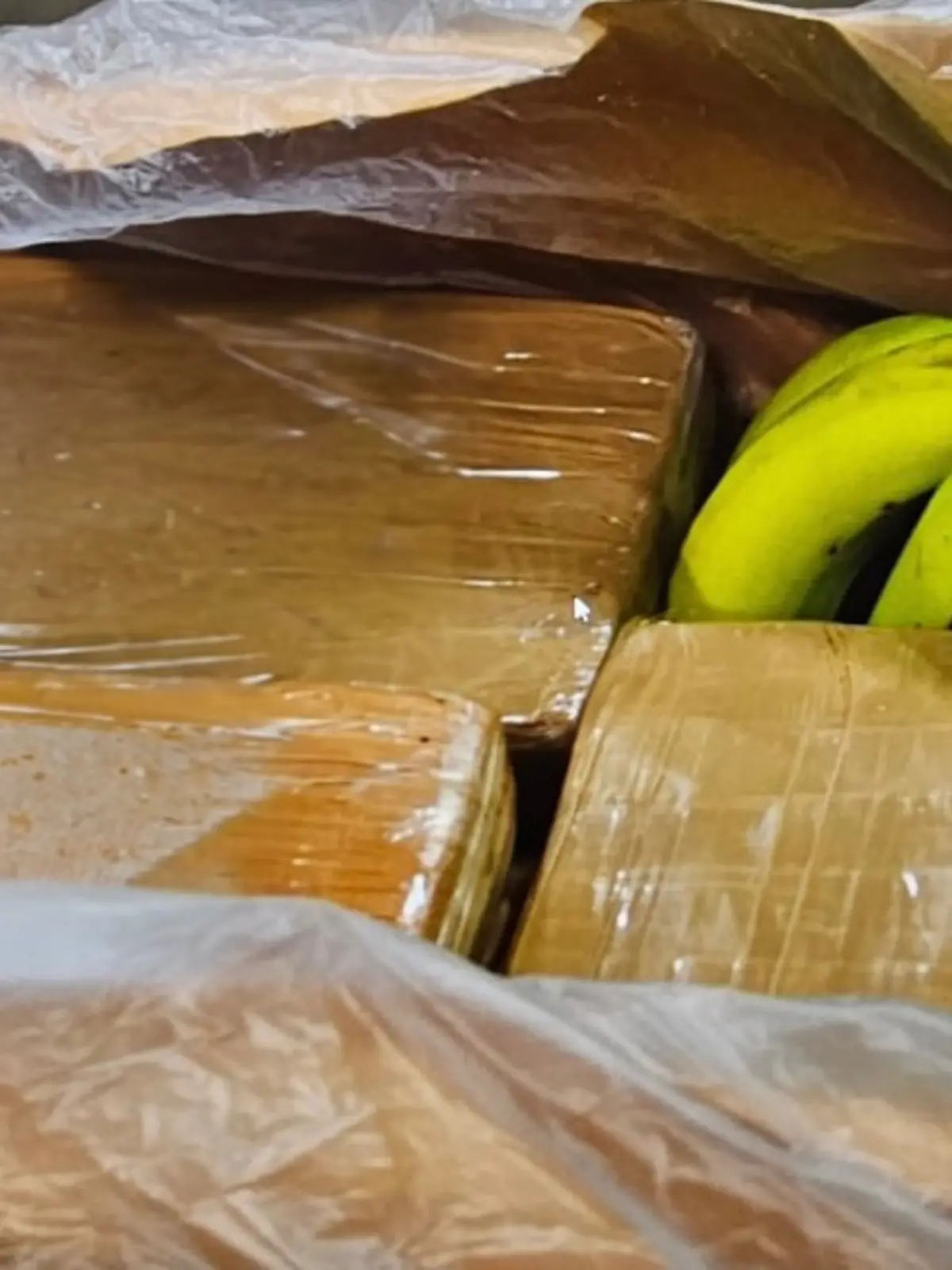 In mehreren Filialen eines Discounters sind Drogen in Bananenkisten gefunden worden.