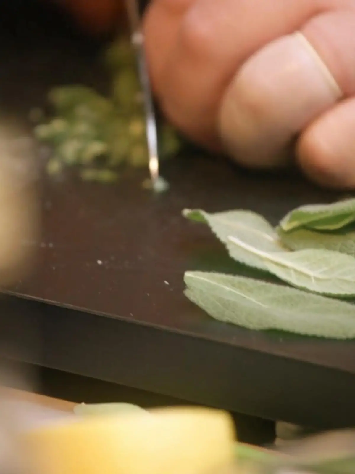 Bild zu: "Gabriel kocht mit Salbei – Tim Mälzer fordert mehr Kreativität"