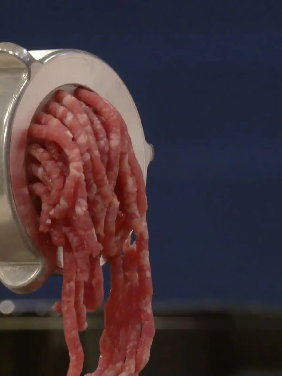 Bild zu: "Spaghetti „Bolonasia“: Neues Duell, neue Herausforderung"