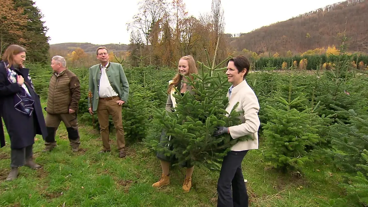 Weihnachtsbaumsaison startet in NRW Eröffnung mit Ministerin