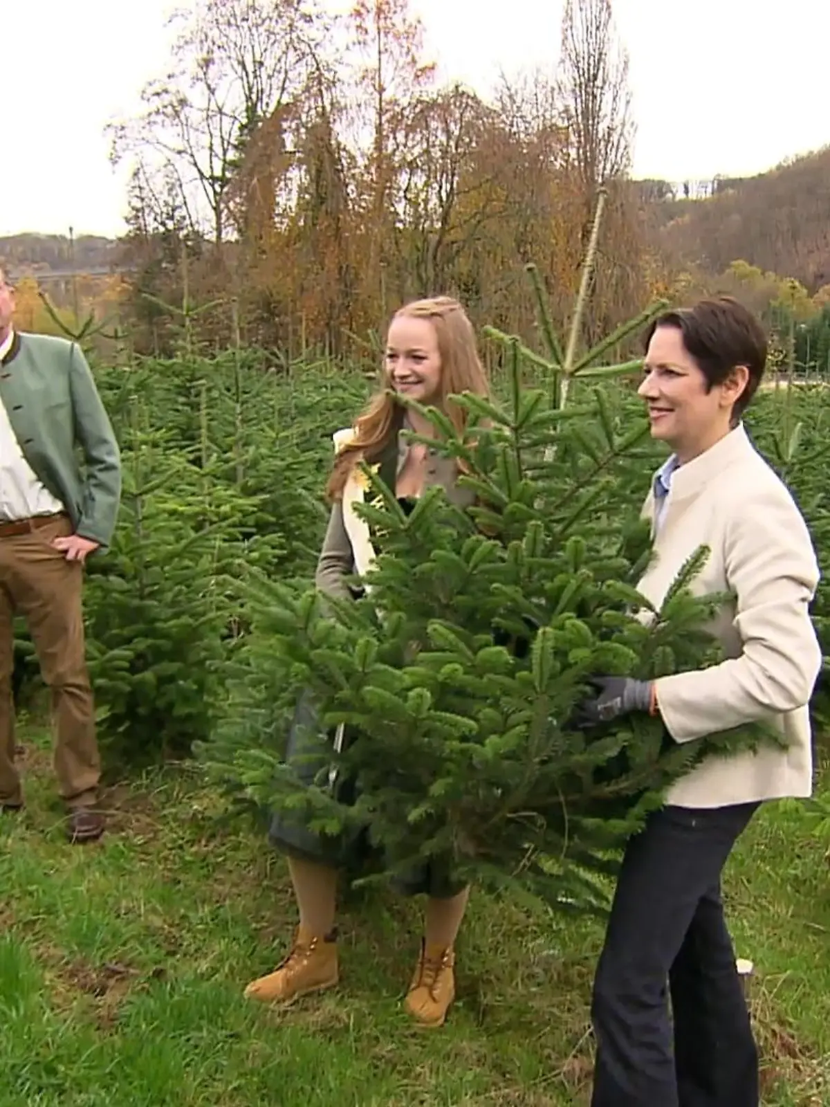 Bild zu: "Weihnachtsbaumsaison startet in NRW"