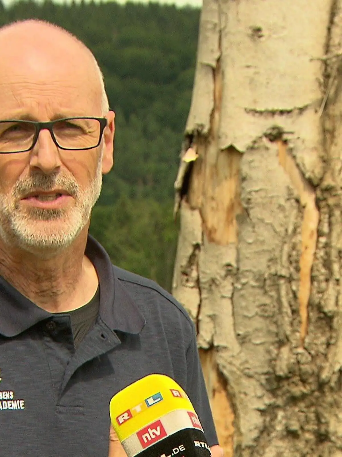 Deutschlands bekanntester Förster Peter Wohlleben warnt im RTL-Interview davor, dass in den nächsten Jahren viele Waldflächen sterben könnten.