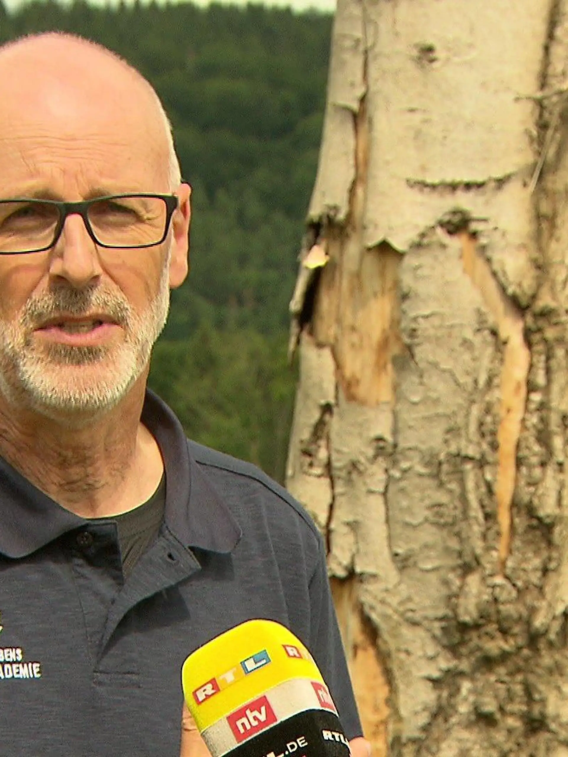 Deutschlands bekanntester Förster Peter Wohlleben warnt im RTL-Interview davor, dass in den nächsten Jahren viele Waldflächen sterben könnten.