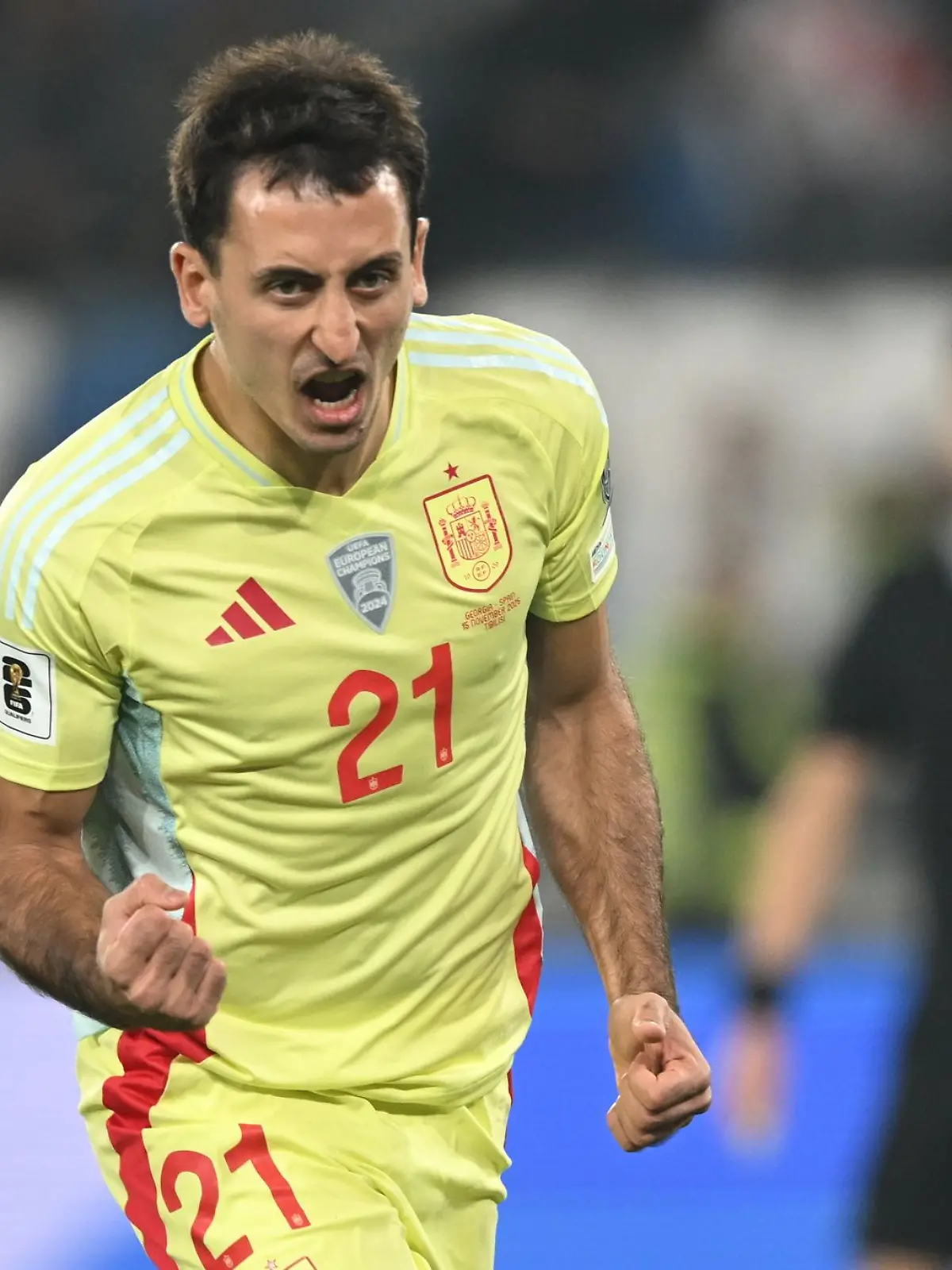 Bild zu: "Spanien und Österreich nah am WM-Ticket - Belgien stolpert"