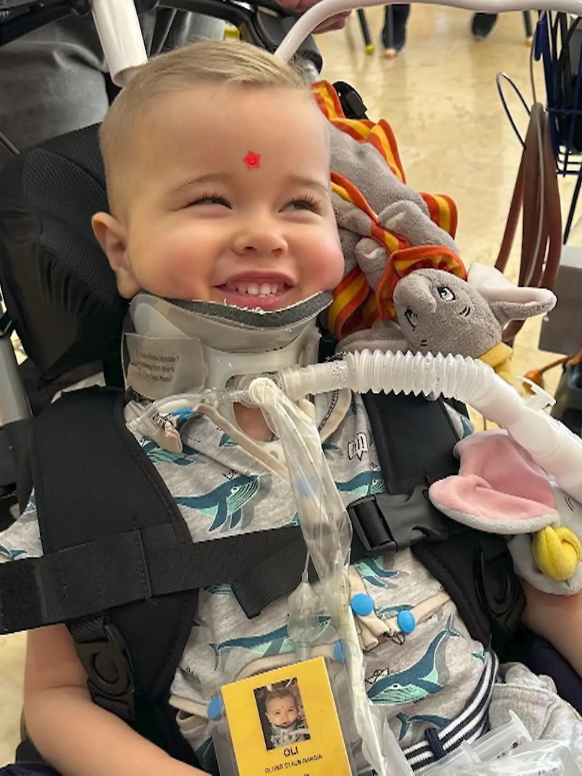 Bild zu: "Große Hoffnung für Familie Staub! Wird Olli (2) nach Horror-Unfall wieder laufen können?"