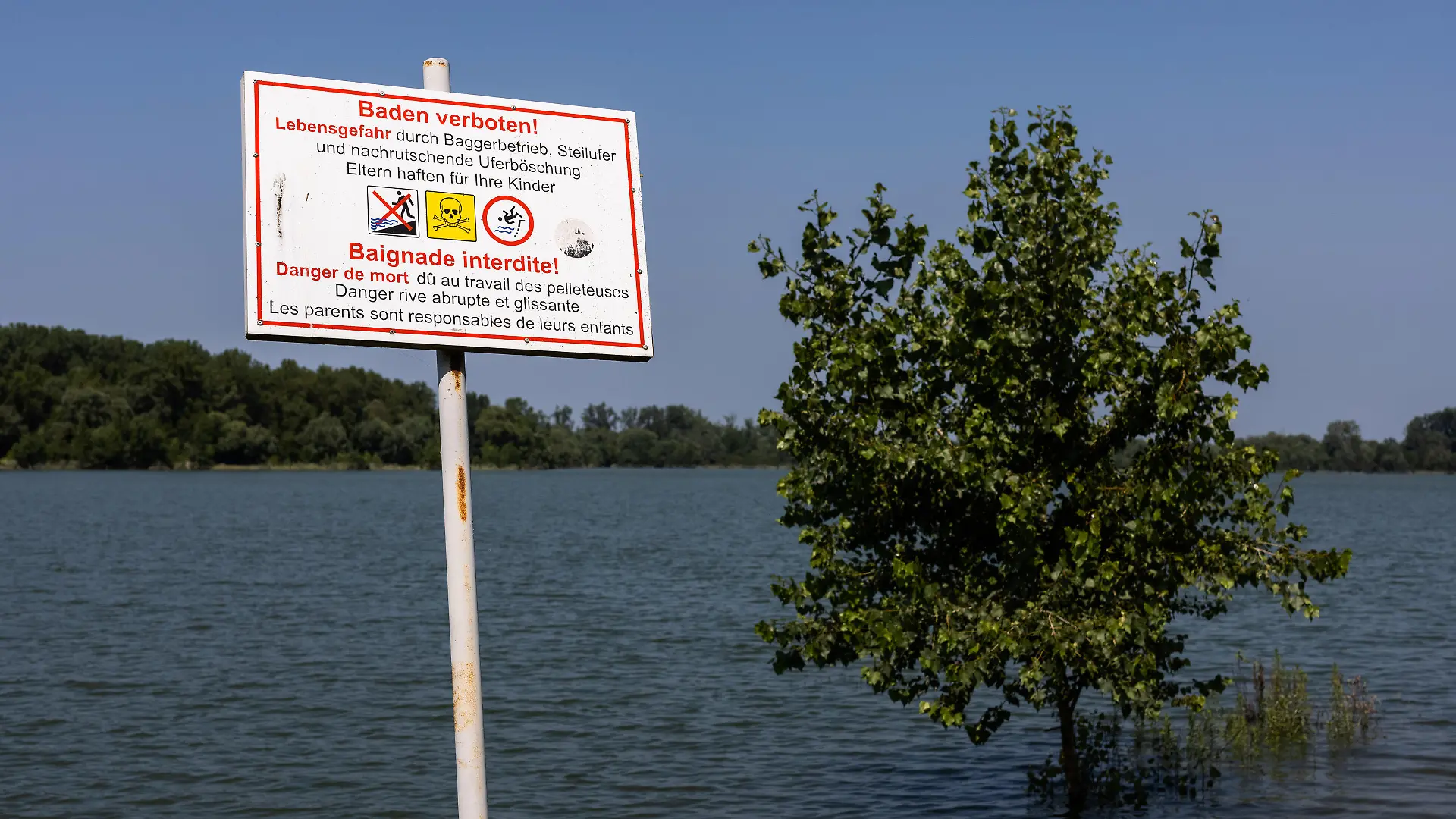 20.07.2021, Baden-Württemberg, Neuried: Ein Schild mit Aufschrift «Baden verboten! - Lebensgefahr» steht am Ufer eines Überflutungsgebietes in der Nähe des Rheins während im Hintergrund ein Baum im Wasser steht. Angesichts der Hochwasser-Katastrophe in Rheinland-Pfalz und Nordrhein-Westfalen hat Ministerpräsident Kretschmann die Wiedereinführung einer verpflichtenden Elementarschadenversicherung für alle Gebäudebesitzer gefordert. Alle Immobilienbesitzer müssten in eine Solidargemeinschaft gehen, sonst werde das Folgen haben, die man nicht mehr gut bewältigen könne, sagte der Grünen-Politiker am Dienstag in Stuttgart. Foto: Philipp von Ditfurth/dpa +++ dpa-Bildfunk +++