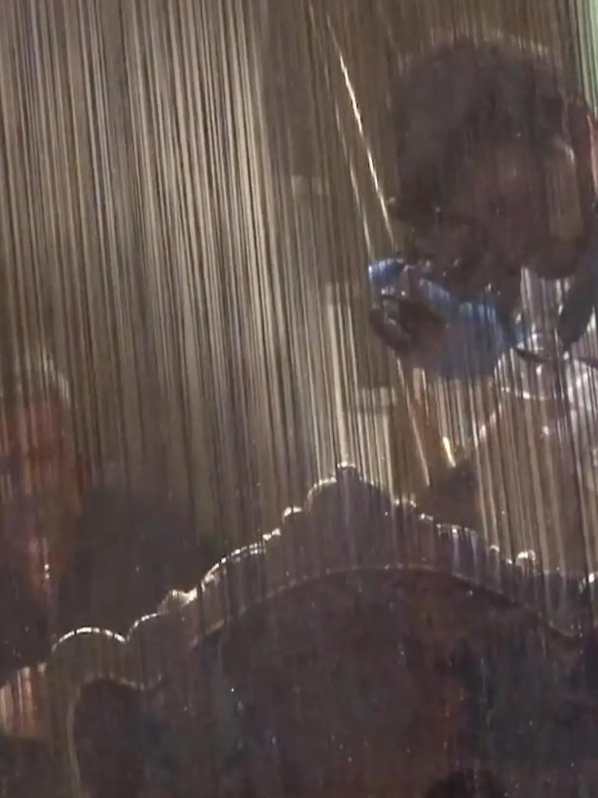 Bild zu: "Deutsche Mutter und Kinder sterben in Türkeiurlaub – Experte erklärt mögliche Todesursache"