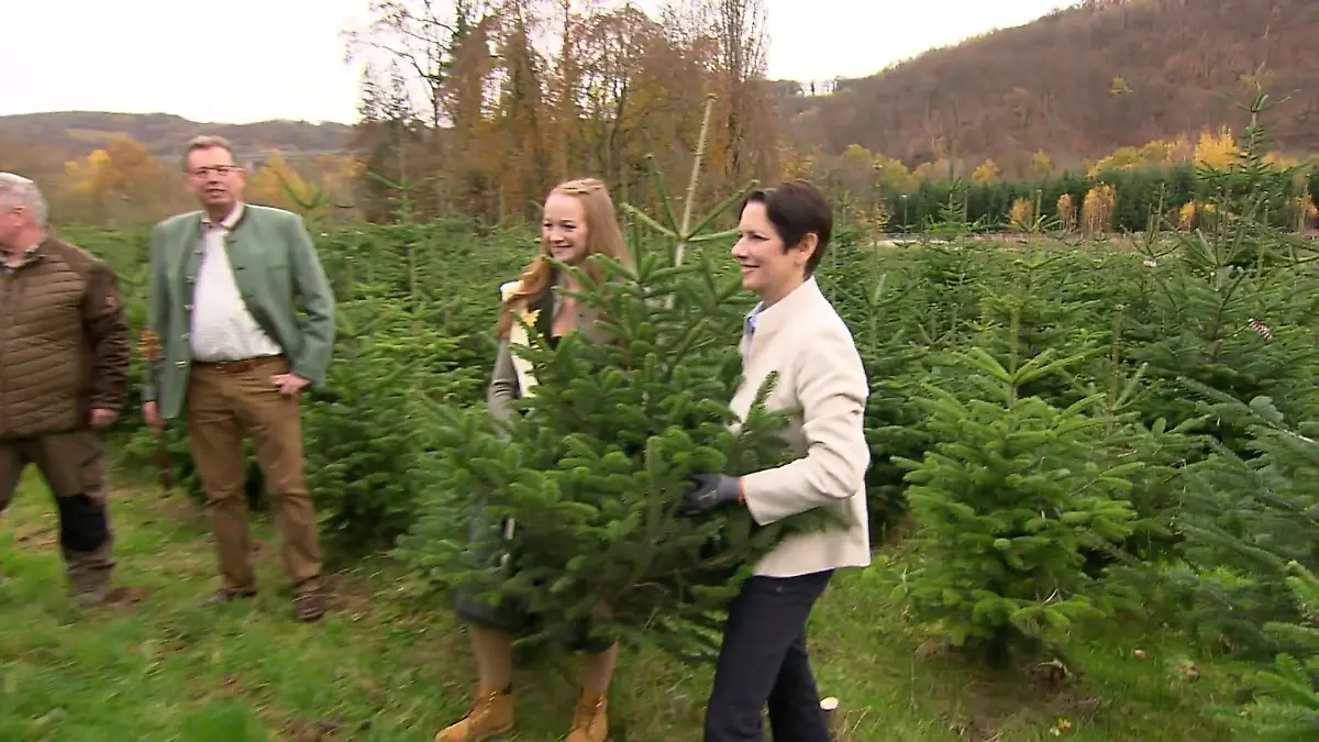 Weihnachtsbaumsaison startet in NRW Eröffnung mit Ministerin