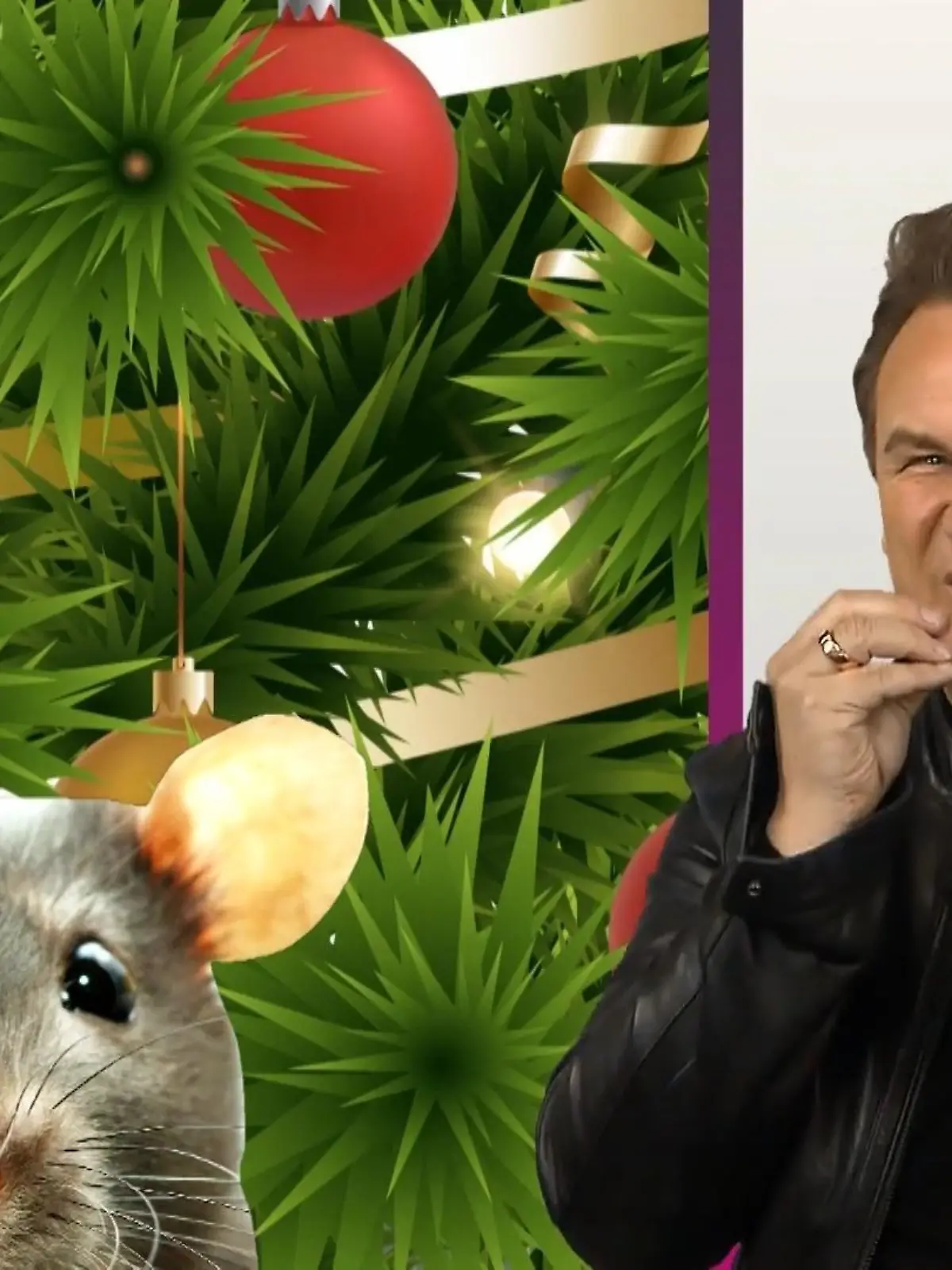 Bild zu: "Guido hat ein neues Trauma"