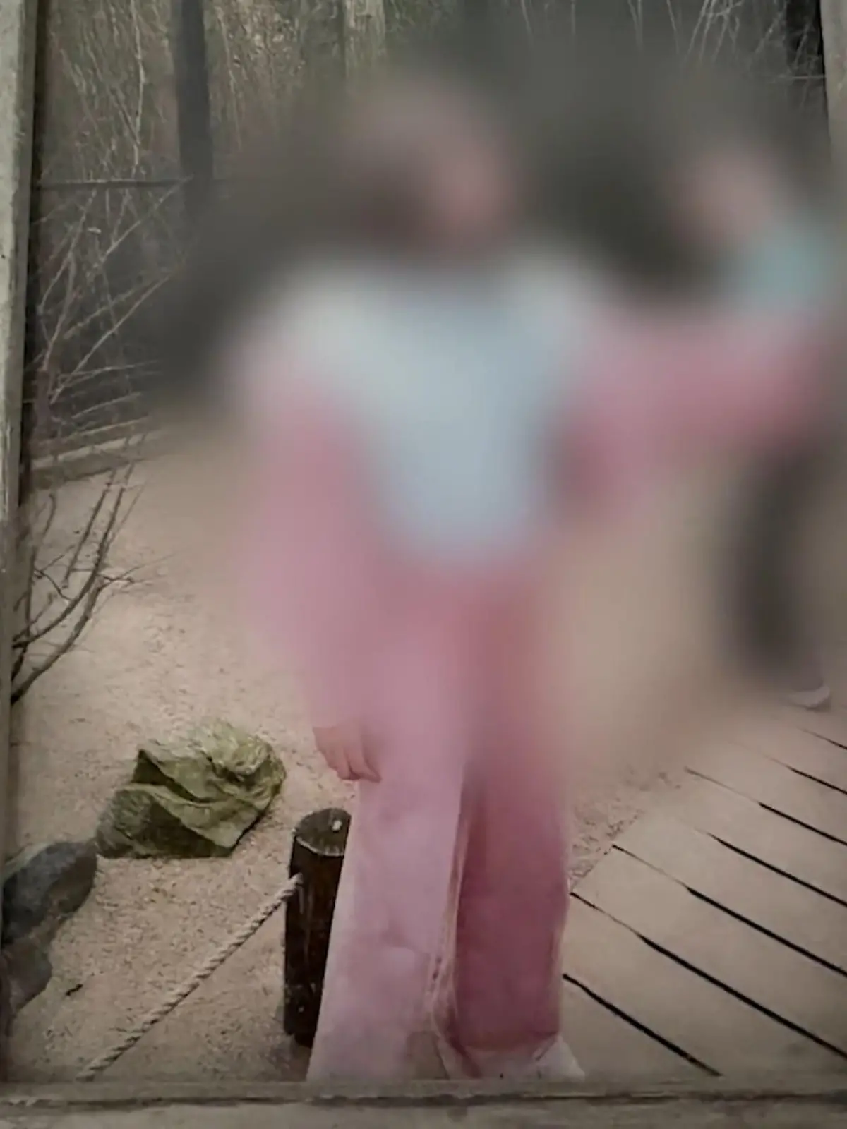 Bild zu: "Polizei schießt Gehörlose (12) nieder"