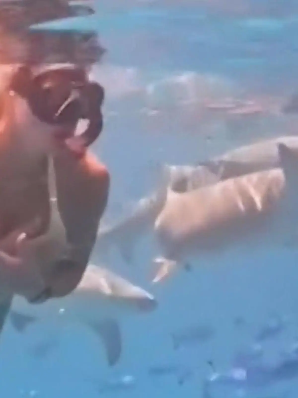 Bild zu: "Von Haien umzingelt! Tennis-Star gleitet sexy durchs Wasser"