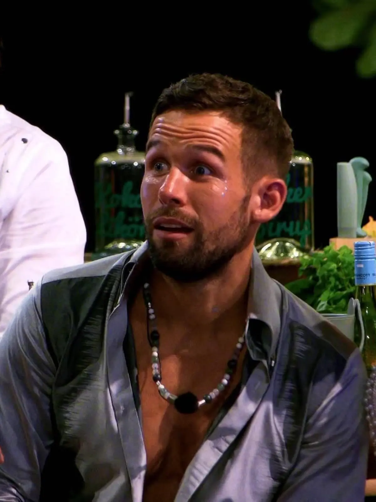 Bild zu: "Bachelor in Paradise"