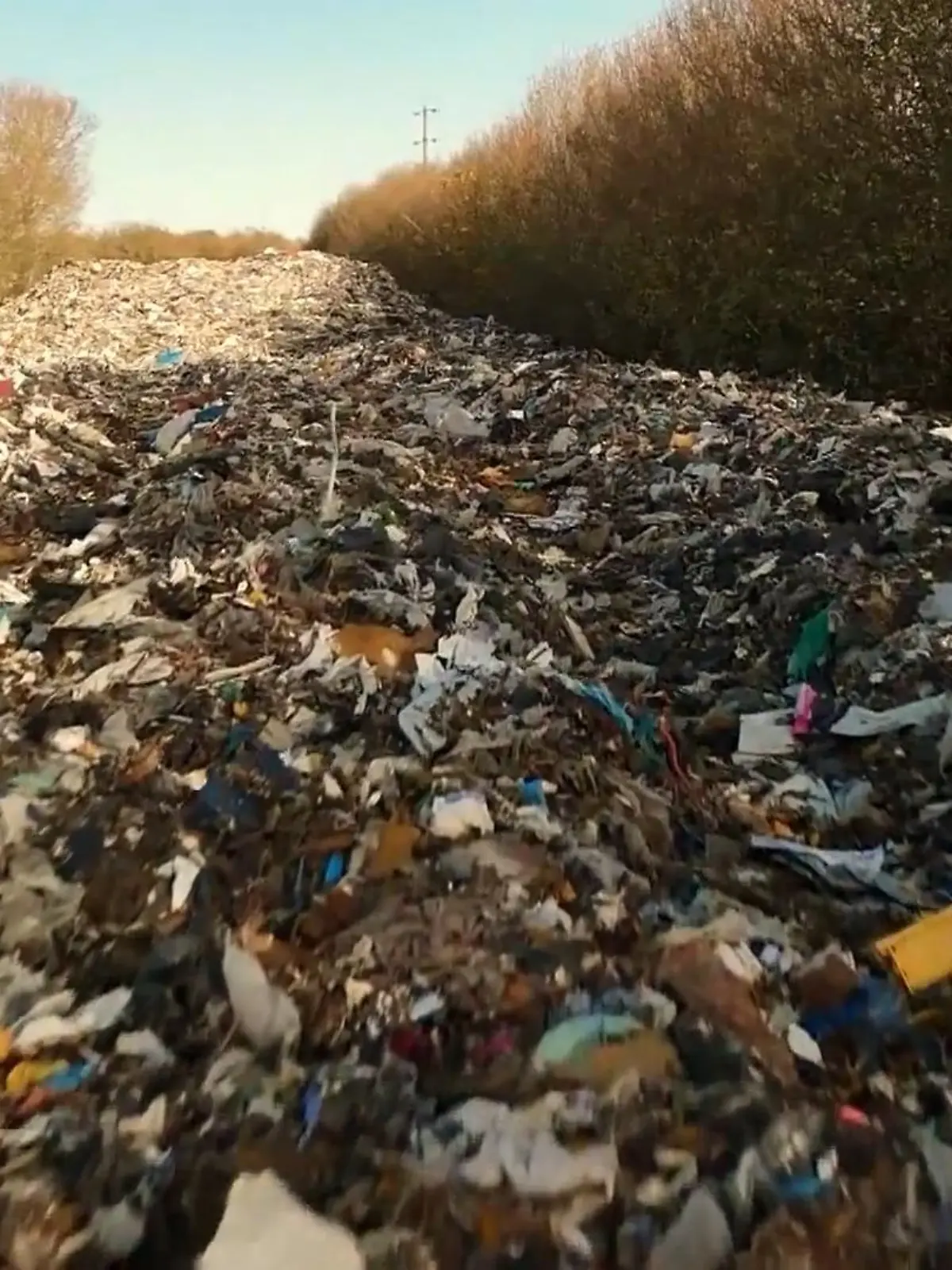 Bild zu: "Illegale Mülldeponie wird zur Umweltkatastrophe"