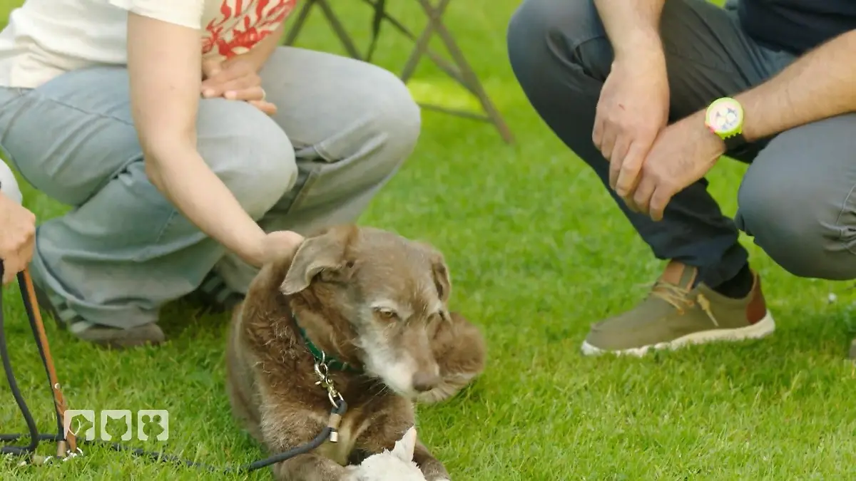 Liebe auf den ersten Blick Was steckt drin?