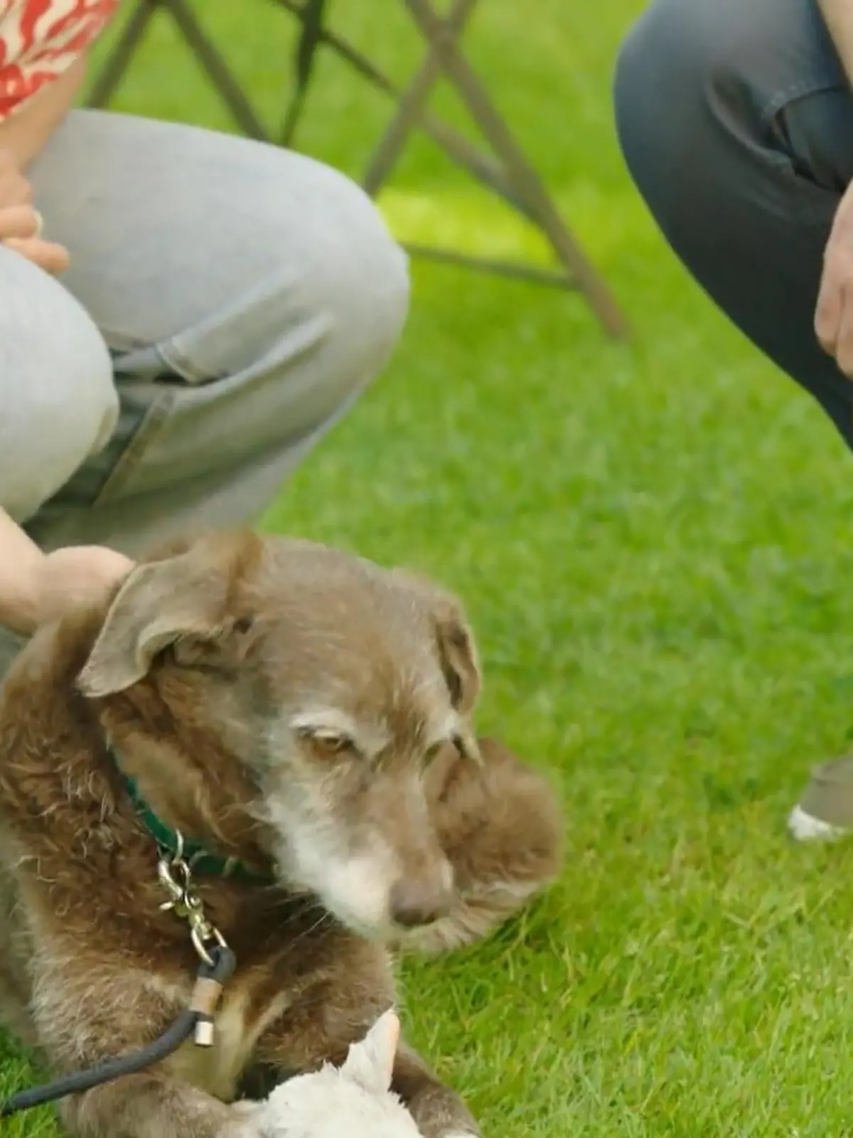 Bild zu: "Liebe auf den ersten Blick"