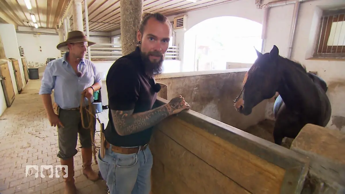Oliver Fritsch hilft auf einer fremden Ranche aus Unterwegs im Einsatz für Pferdegesundheit