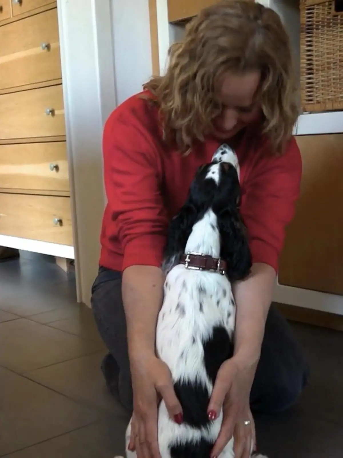 Bild zu: "Kate Kitchenham übt das Busfahren"