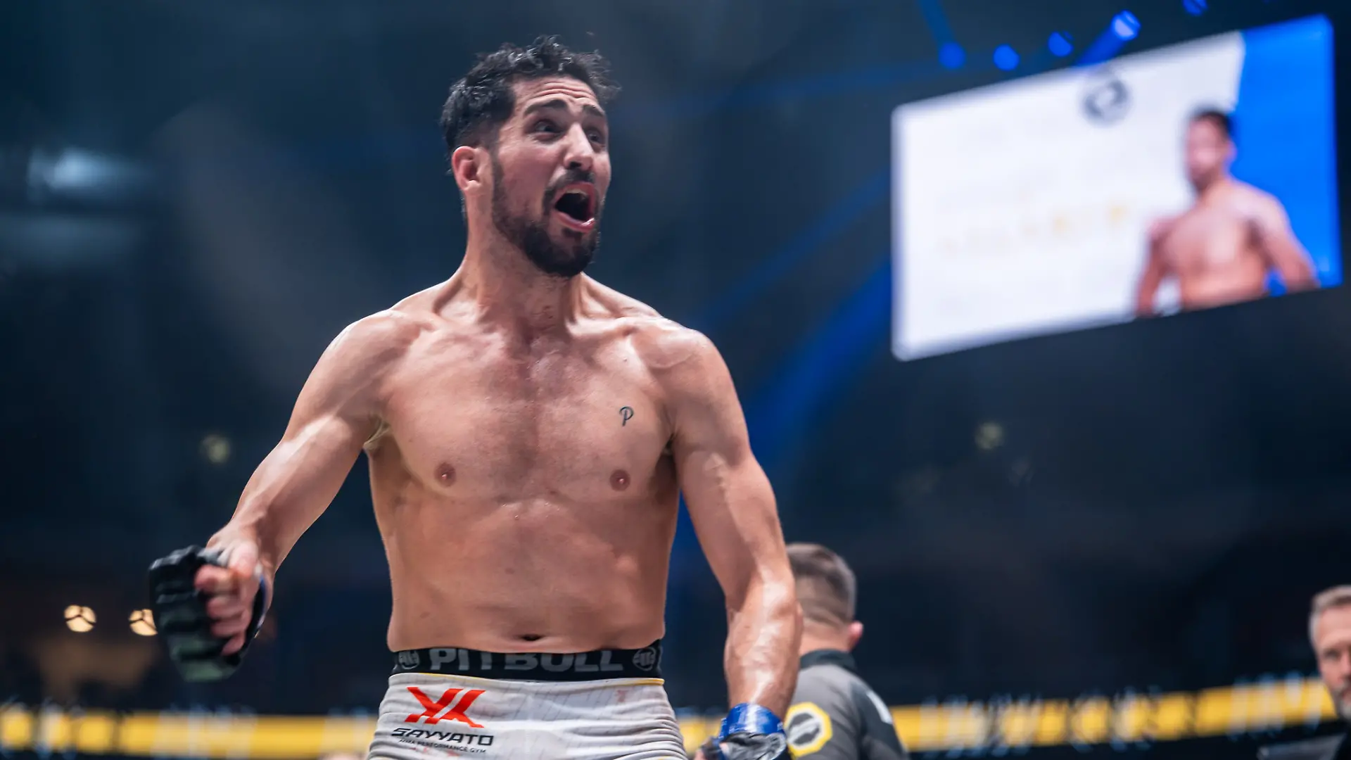 Ozan Aslaner