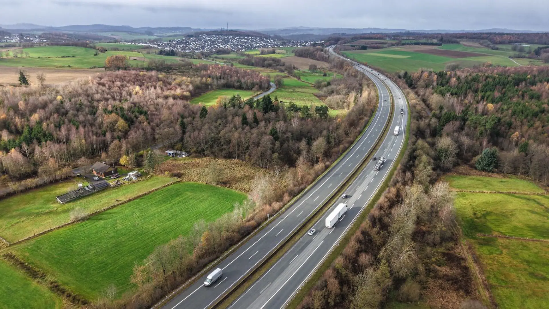 In der Nacht zu Montag entdeckte eine Autofahrerin den grausigen Fund.
