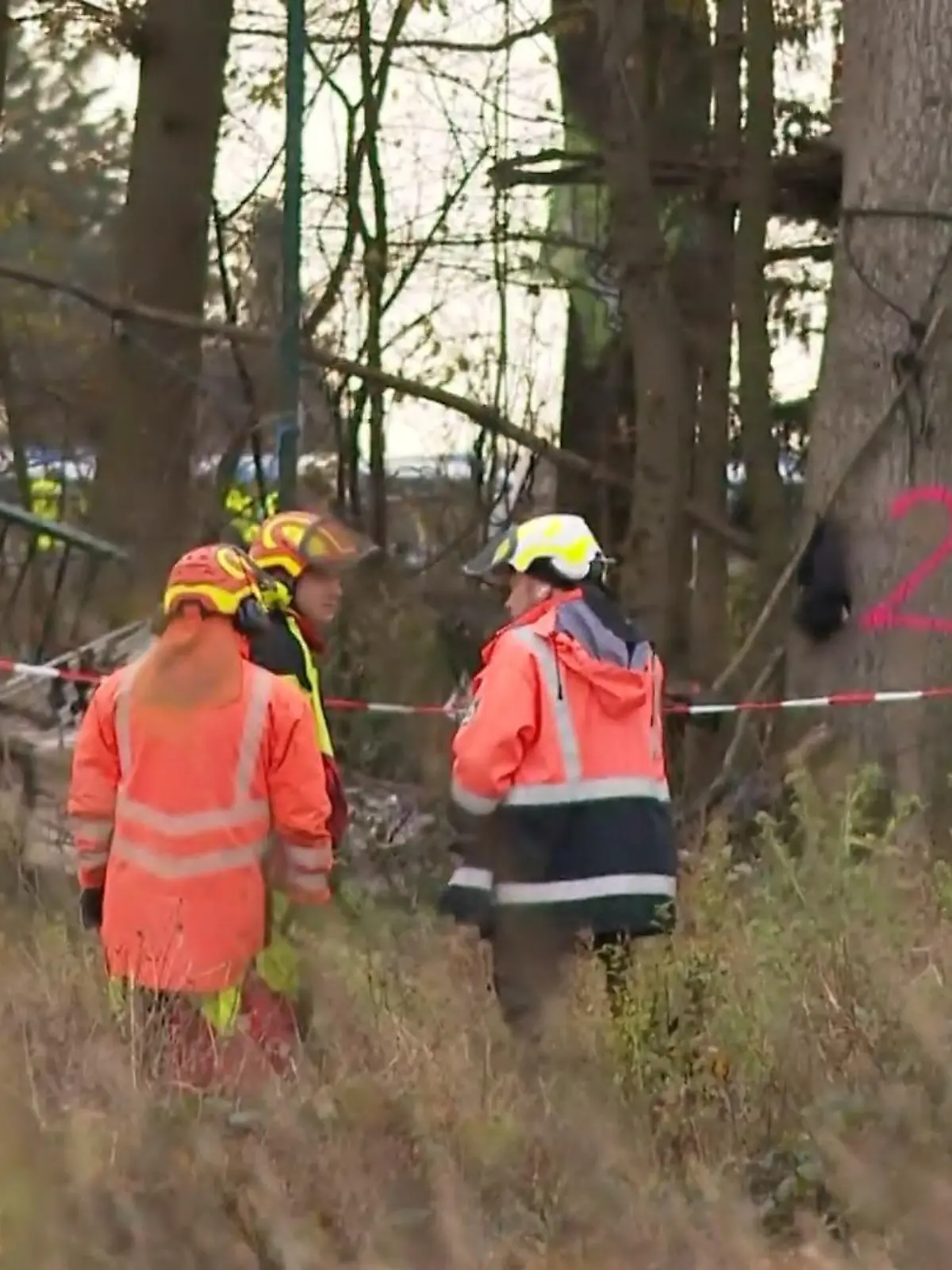 Bild zu: "Sündenwäldchen wird geräumt"