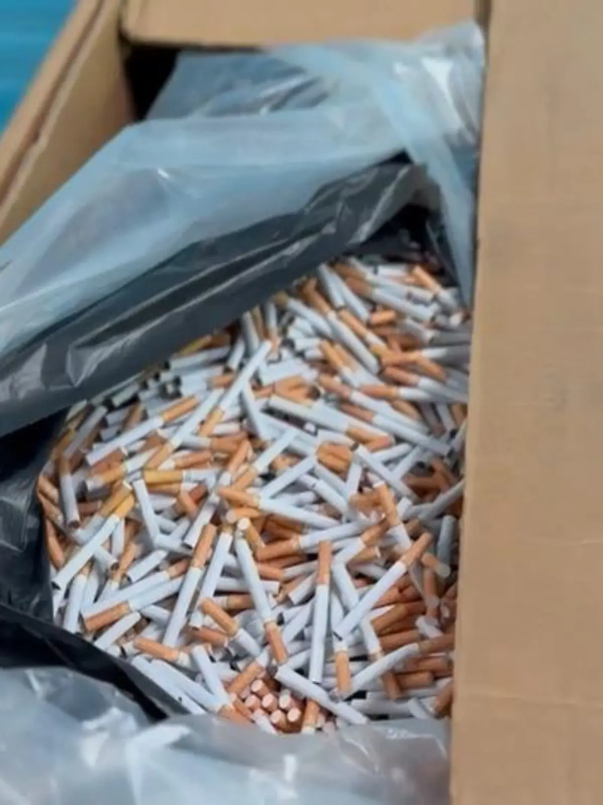 Bild zu: "Illegale Zigarettenfabrik ausgehoben – Prozessstart"