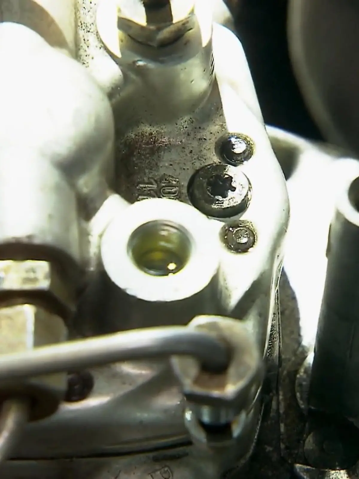 Bild zu: "Die Autodoktoren prüfen die frische Online-Bestellung"