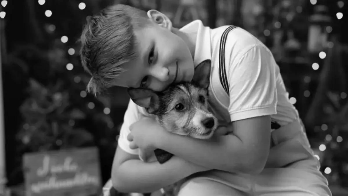 Auf dem Weg zur Schule stirbt Olek bei einem Unfall (Archivbild). 
