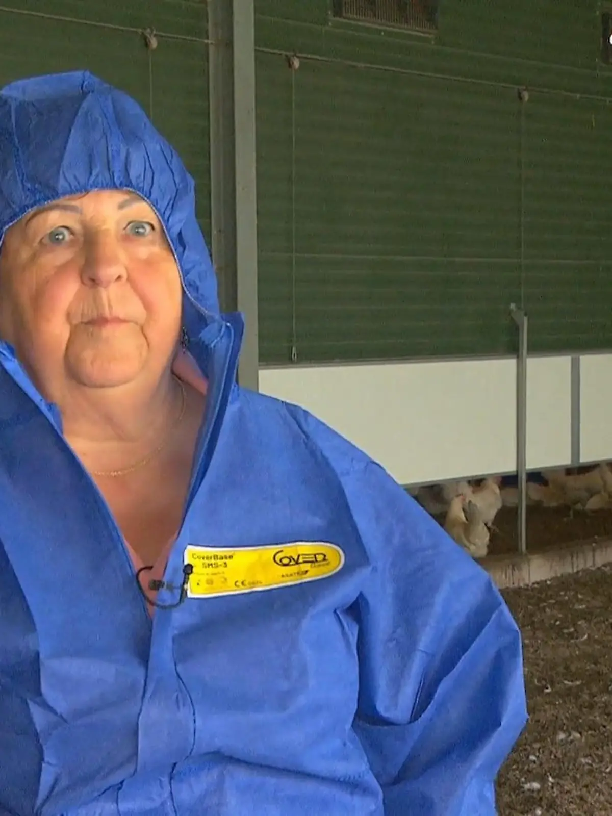 Bild zu: "Katharina fühlt sich pudelwohl beim Hühnerbauer"