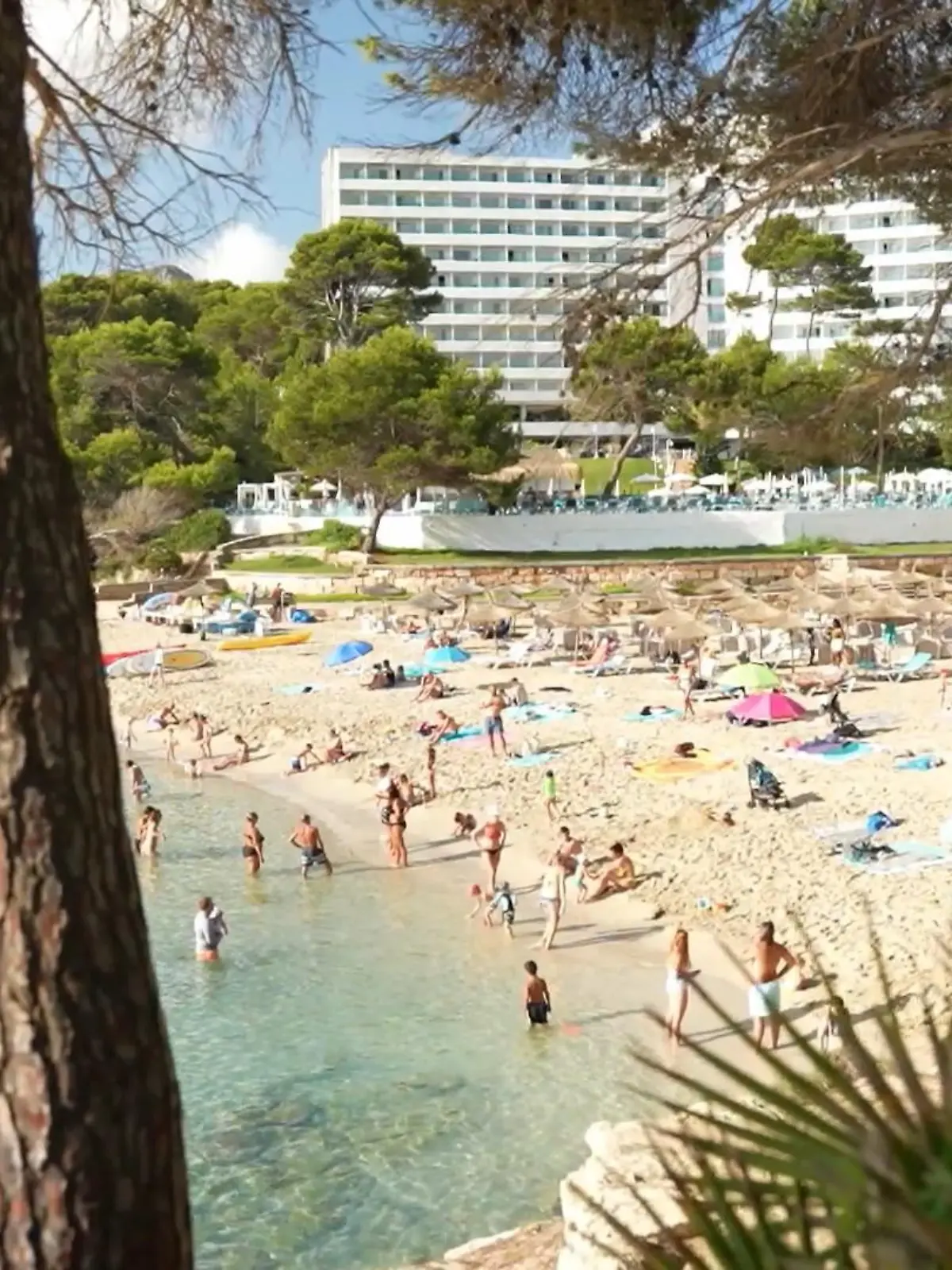 Bild zu: "Das sind die Urlaubstrends 2026"