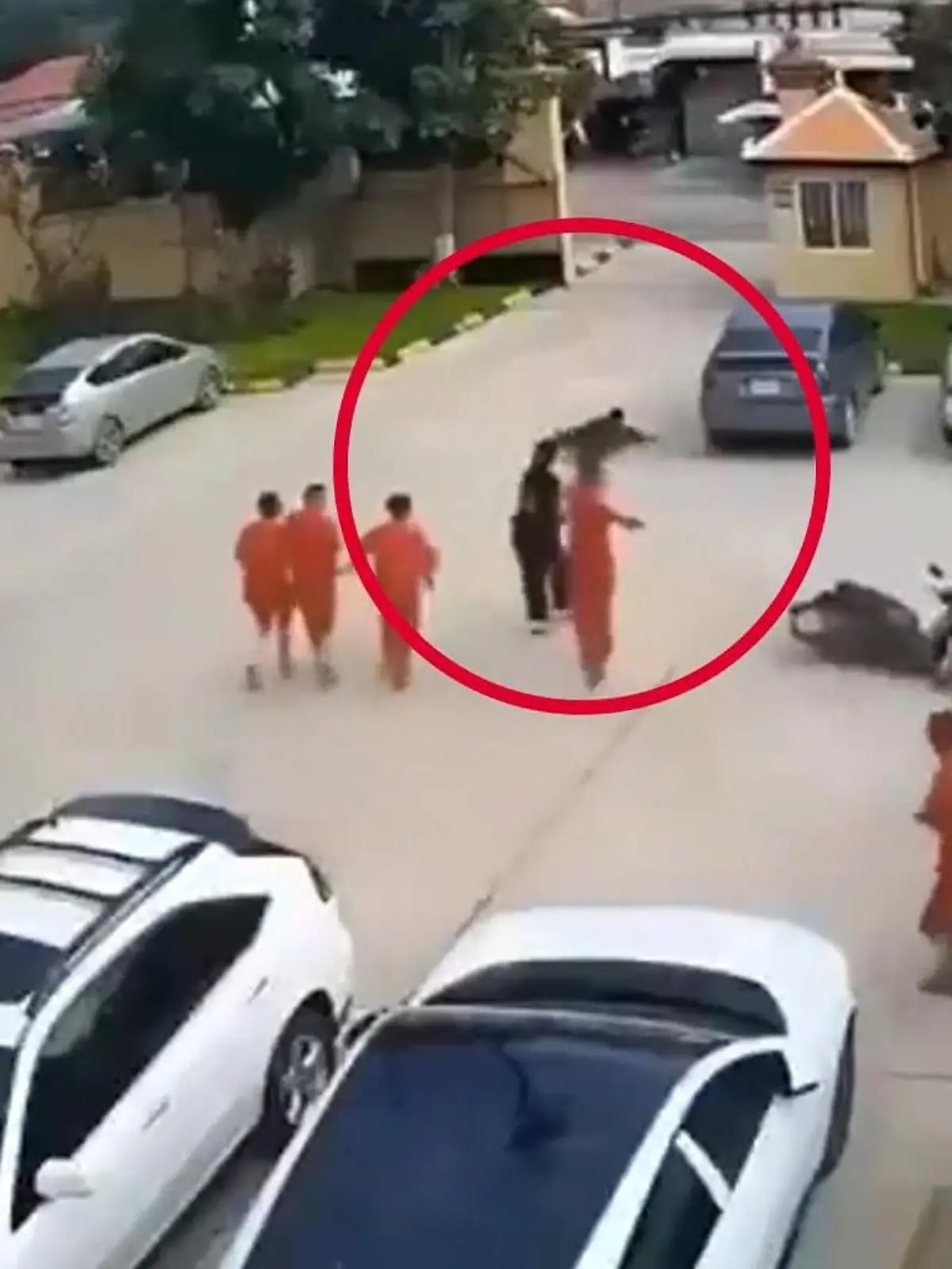 Bild zu: "Sie wartet mit Waffe auf ihn! Geliebte befreit Häftling aus Gefängnistransporter"