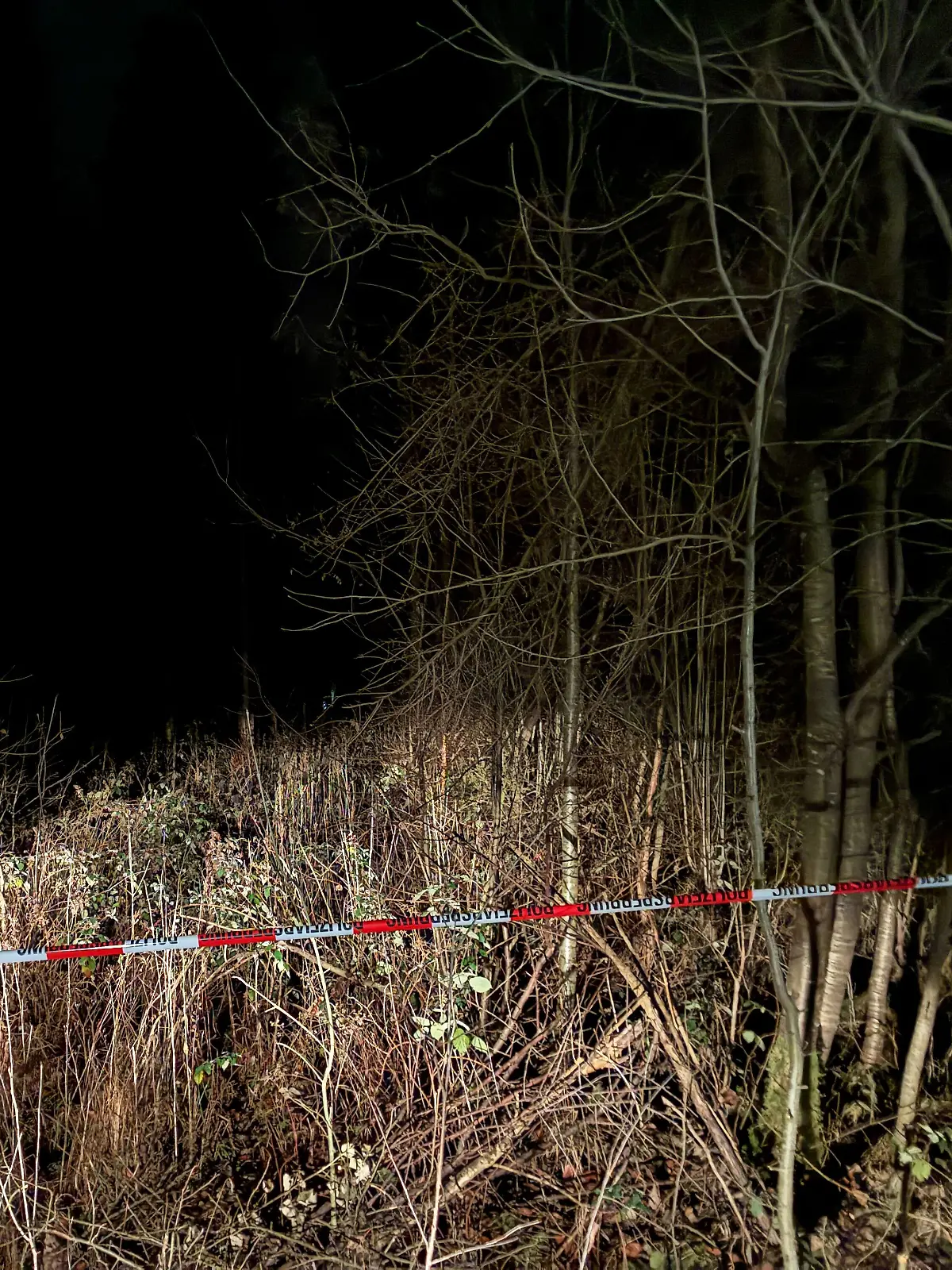 Das Waldstück in der Nähe von München durchsuchen die Polizeibeamten.